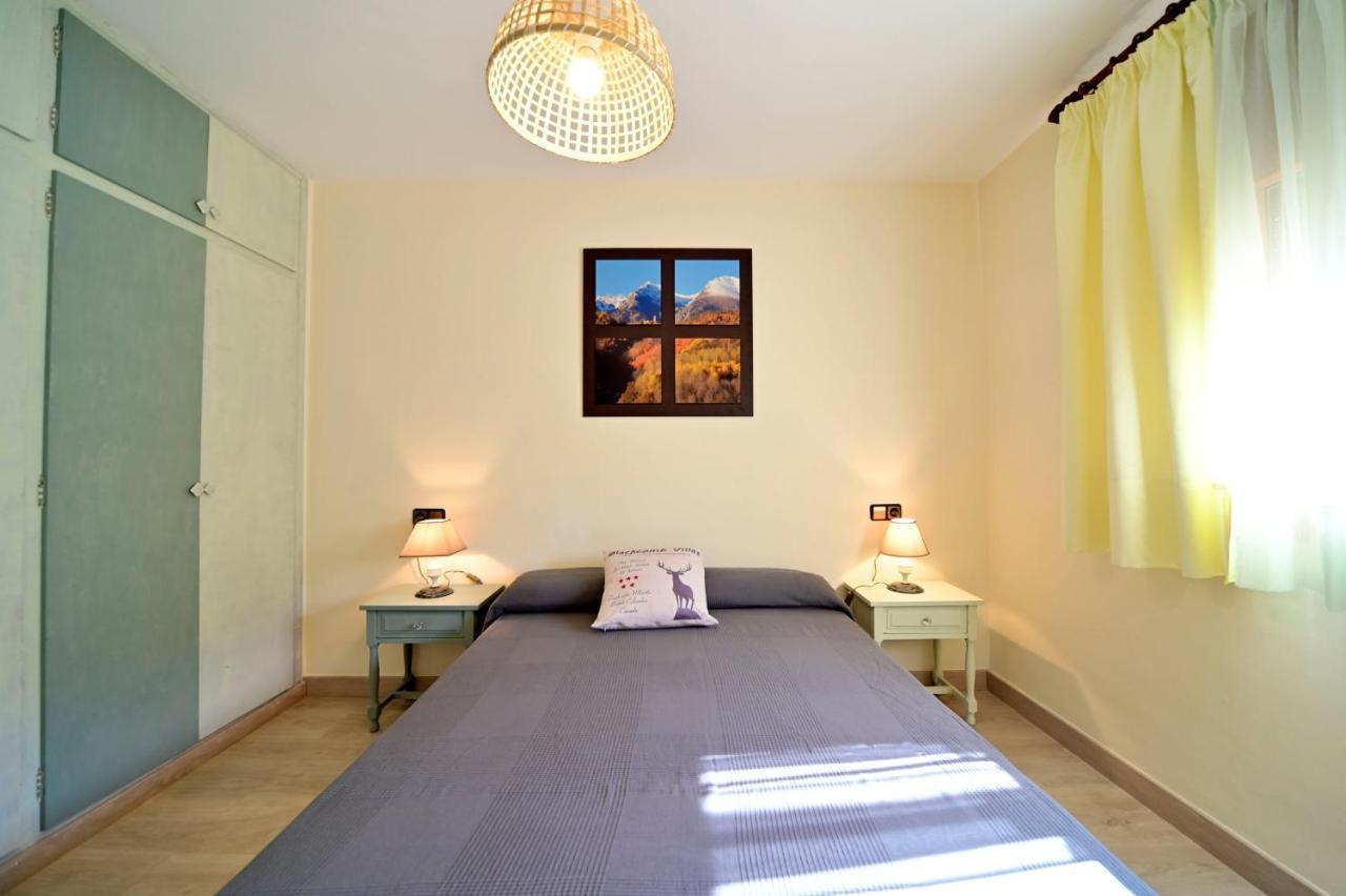 Casa Guineu Apartment Esterri D'Aneu Ngoại thất bức ảnh